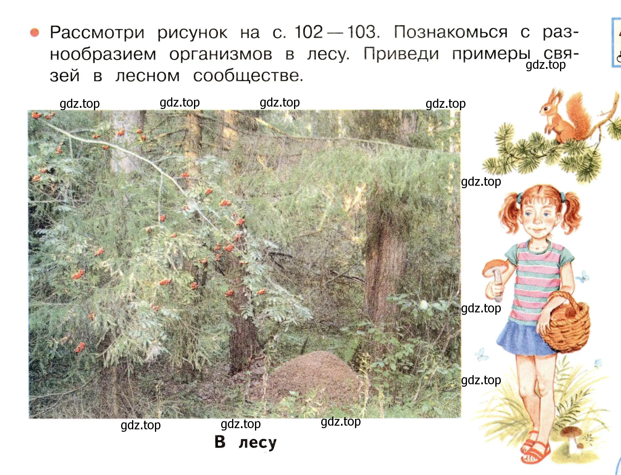 Условие номер Вопросы в параграфе (страница 101) гдз по окружающему миру 3 класс Плешаков, Новицкая, учебник 1 часть