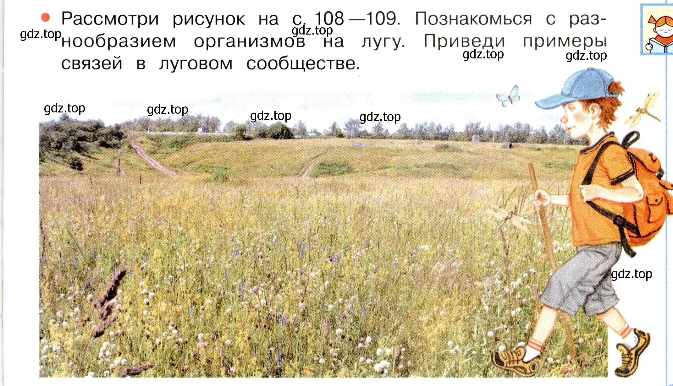 Условие номер Вопросы в параграфе (страница 107) гдз по окружающему миру 3 класс Плешаков, Новицкая, учебник 1 часть
