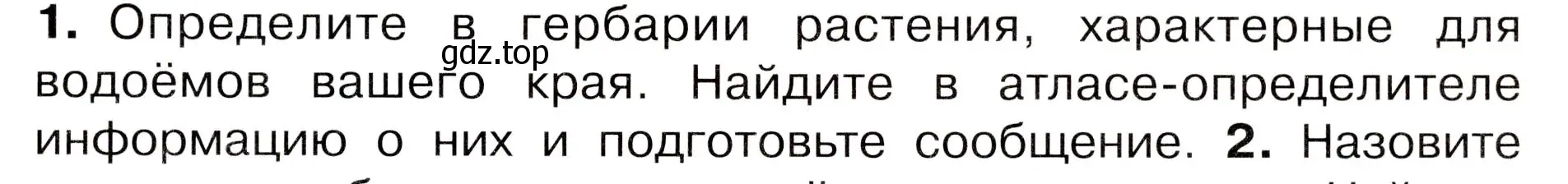 Условие номер 1 (страница 117) гдз по окружающему миру 3 класс Плешаков, Новицкая, учебник 1 часть