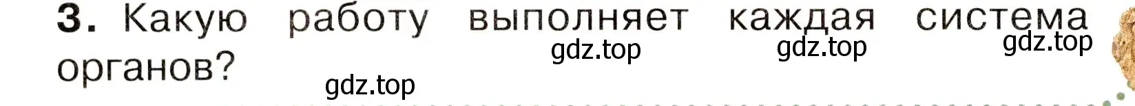 Условие номер 3 (страница 52) гдз по окружающему миру 3 класс Плешаков, Новицкая, учебник 2 часть