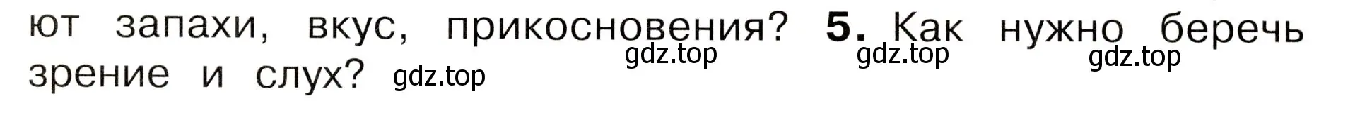 Условие номер 5 (страница 63) гдз по окружающему миру 3 класс Плешаков, Новицкая, учебник 2 часть