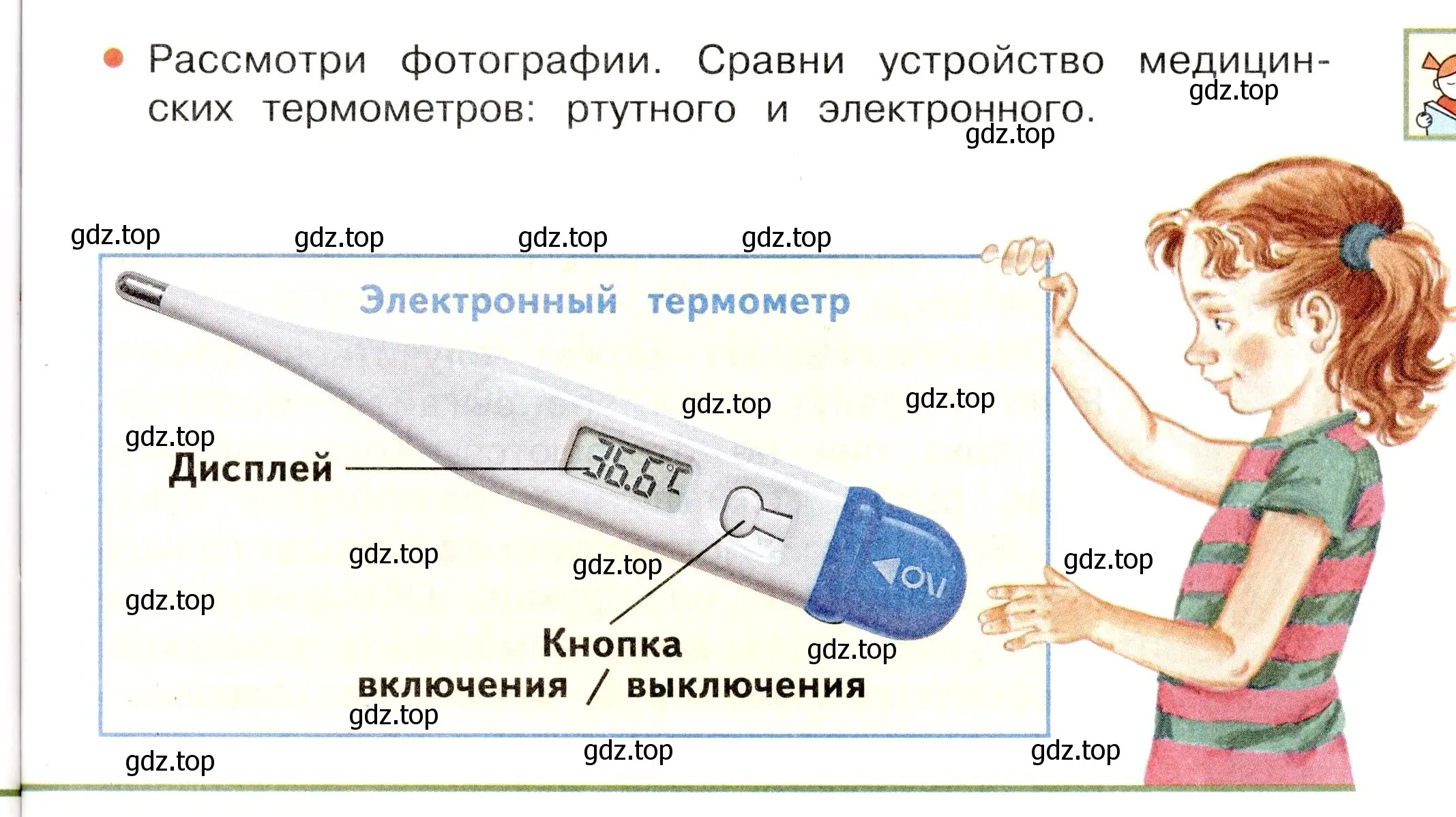 Условие номер Вопросы в параграфе (страница 65) гдз по окружающему миру 3 класс Плешаков, Новицкая, учебник 2 часть