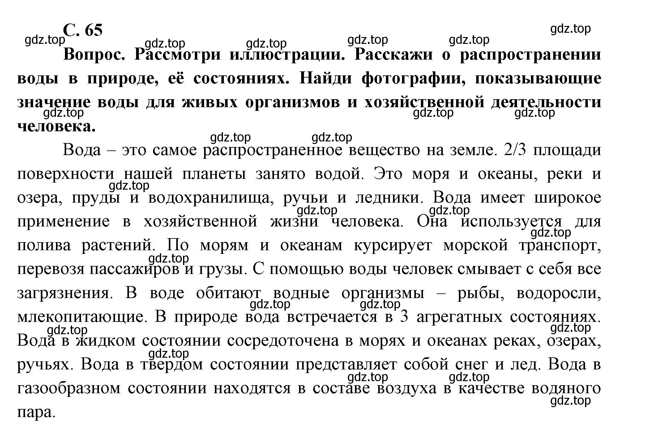 Решение номер Вопросы в параграфе (страница 65) гдз по окружающему миру 3 класс Плешаков, Новицкая, учебник 1 часть