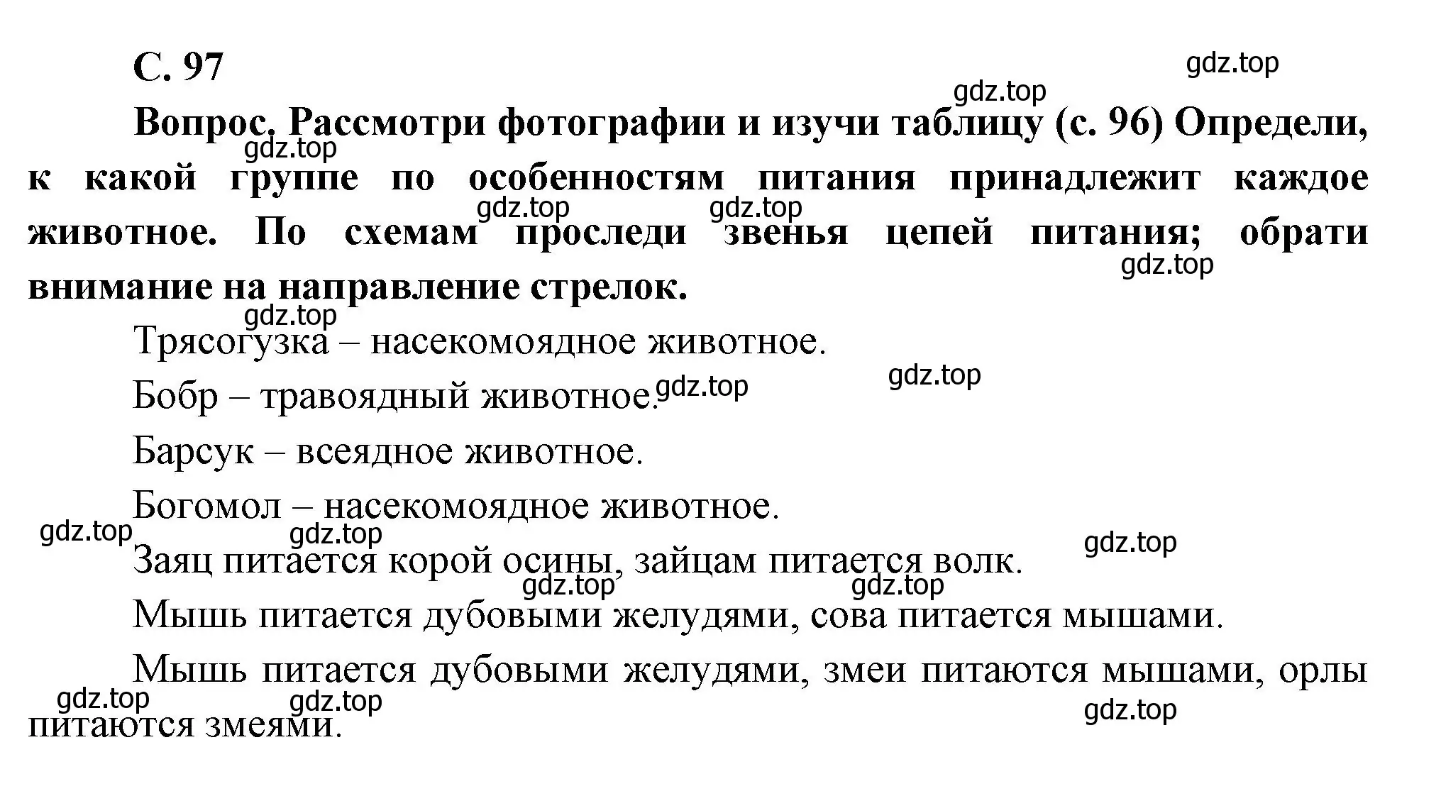 Решение номер Вопросы в параграфе (страница 97) гдз по окружающему миру 3 класс Плешаков, Новицкая, учебник 1 часть