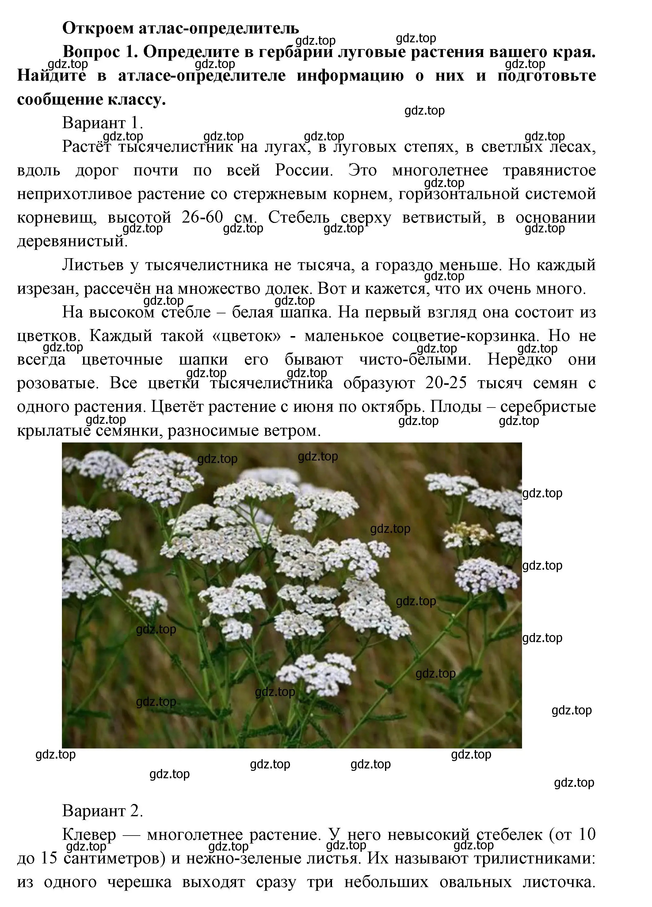 Решение номер 1 (страница 111) гдз по окружающему миру 3 класс Плешаков, Новицкая, учебник 1 часть