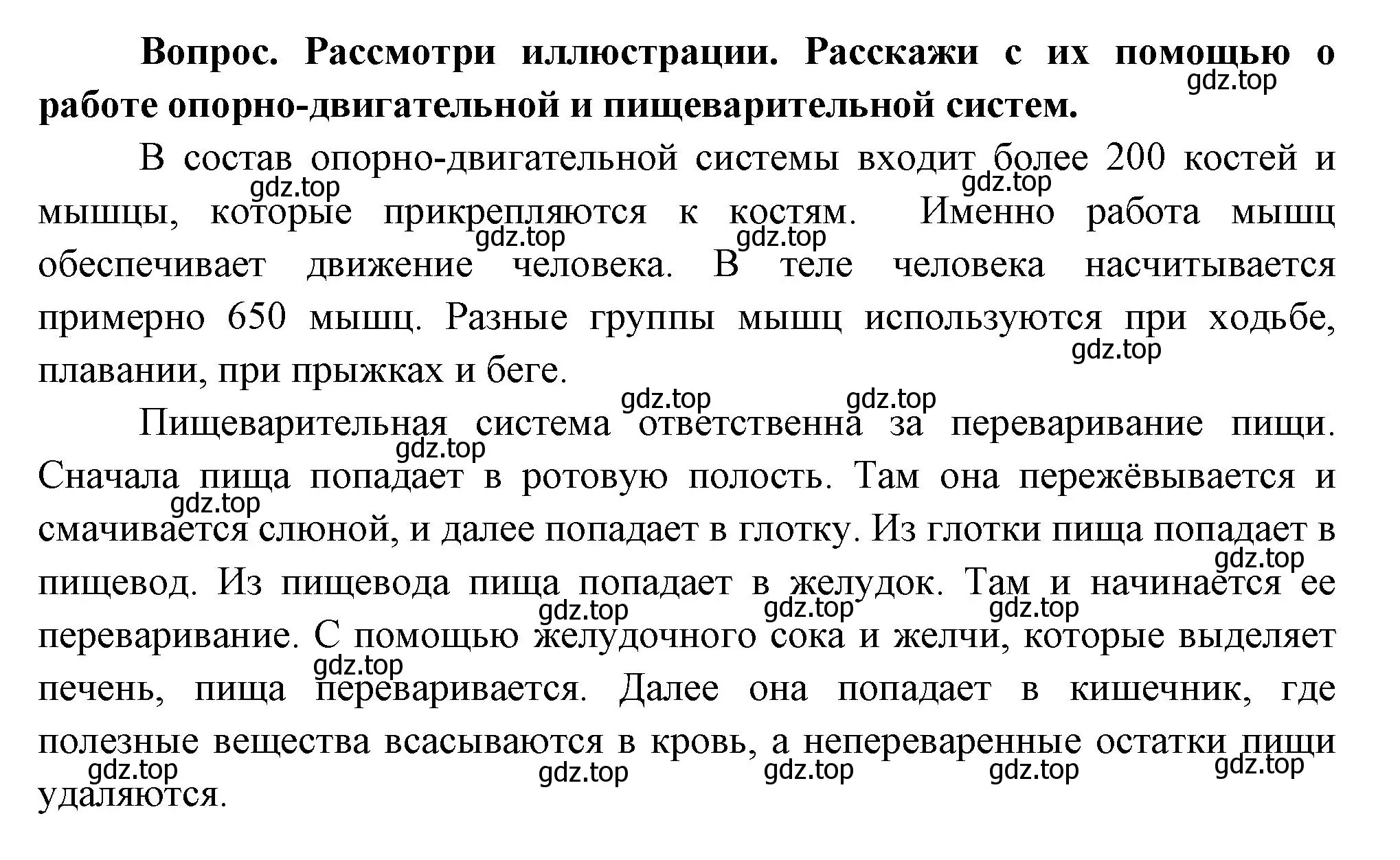 Решение номер Вопросы в параграфе (страница 53) гдз по окружающему миру 3 класс Плешаков, Новицкая, учебник 2 часть