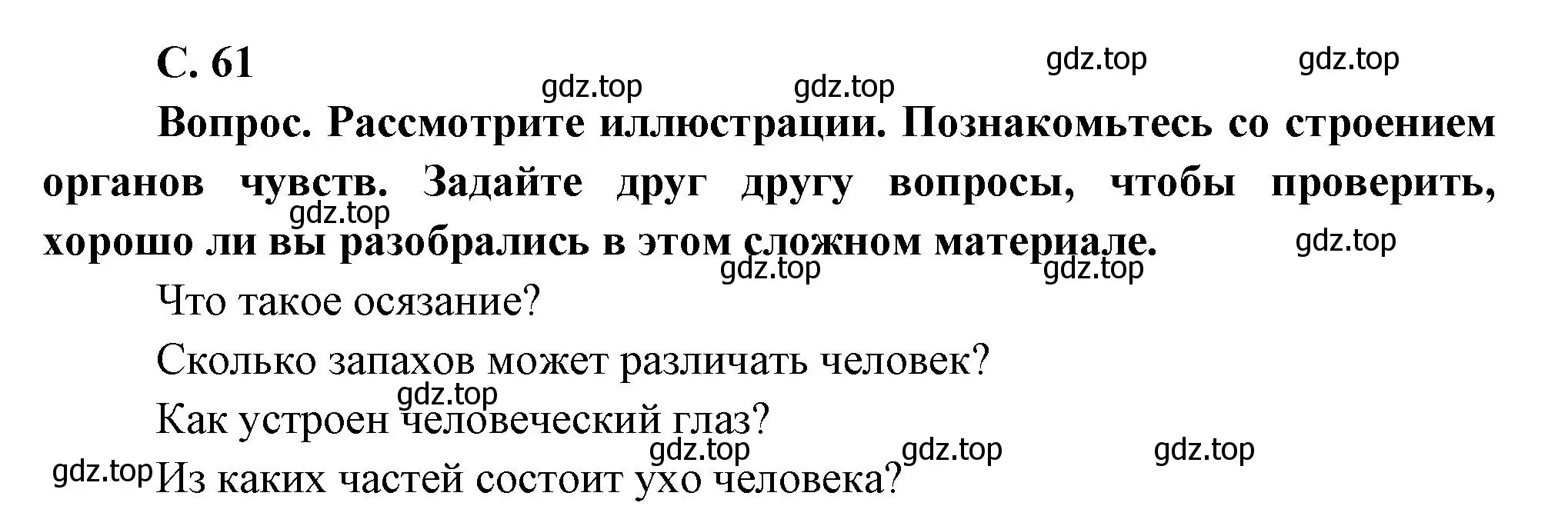 Решение номер Вопросы в параграфе (страница 61) гдз по окружающему миру 3 класс Плешаков, Новицкая, учебник 2 часть