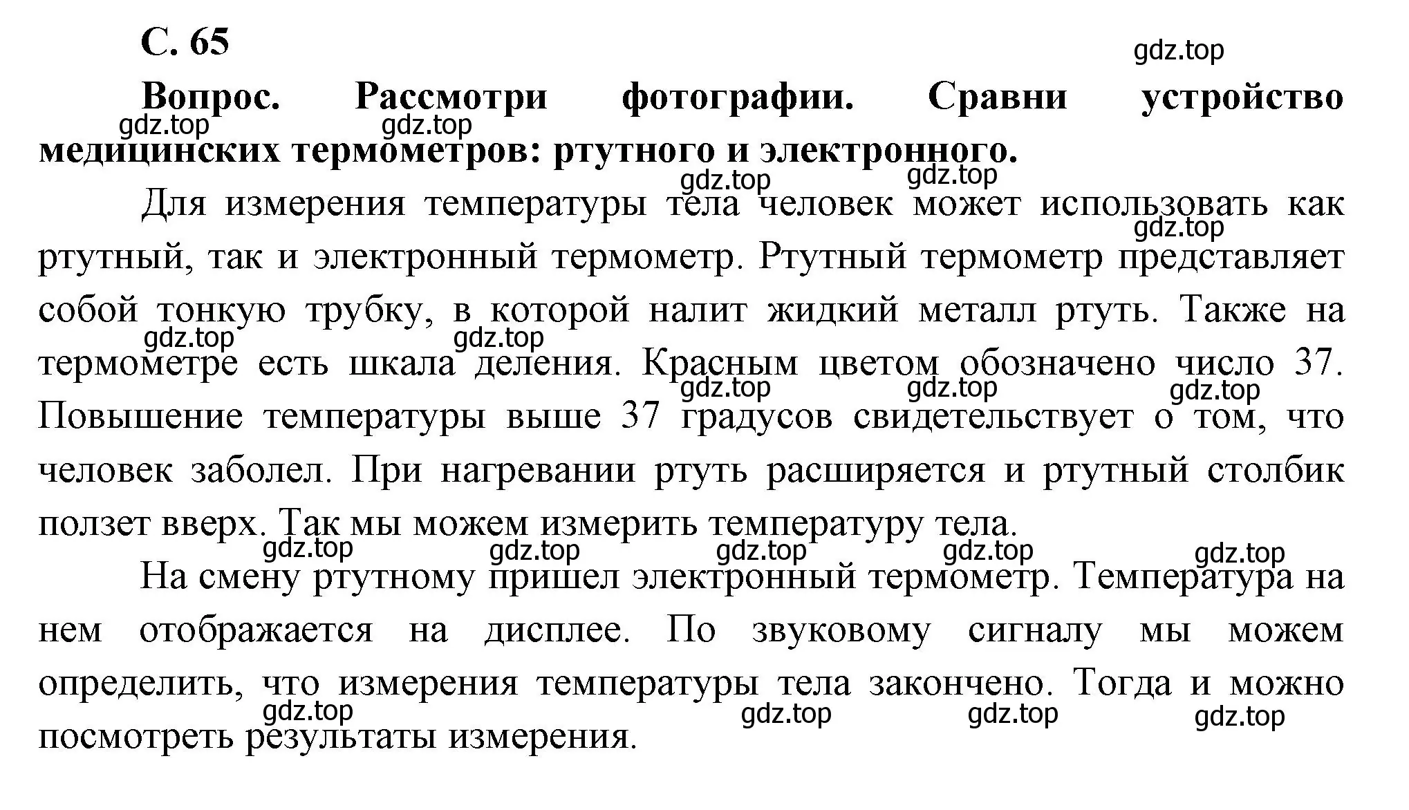 Решение номер Вопросы в параграфе (страница 65) гдз по окружающему миру 3 класс Плешаков, Новицкая, учебник 2 часть