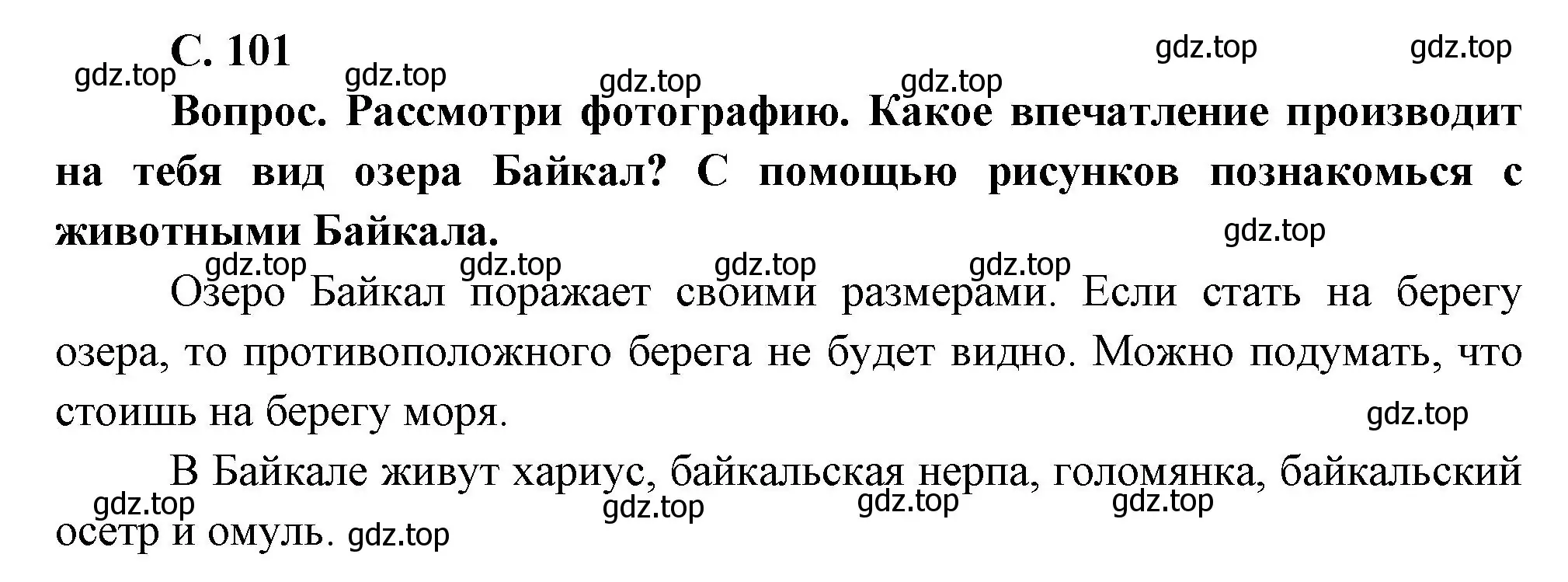 Решение номер Вопросы в параграфе (страница 101) гдз по окружающему миру 3 класс Плешаков, Новицкая, учебник 2 часть