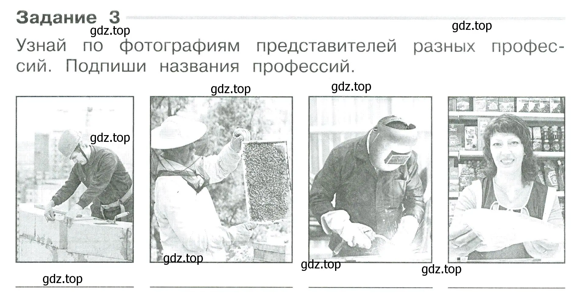 Условие номер 3 (страница 5) гдз по окружающему миру 3 класс Плешаков, Плешаков, проверочные работы