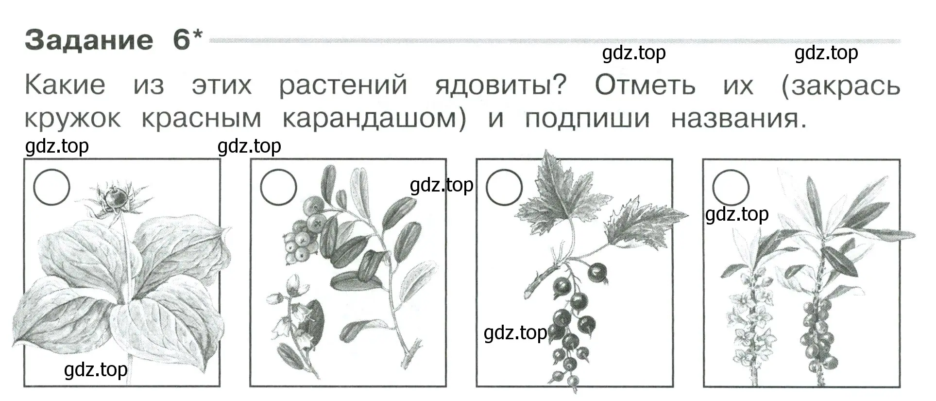 Условие номер 6 (страница 6) гдз по окружающему миру 3 класс Плешаков, Плешаков, проверочные работы