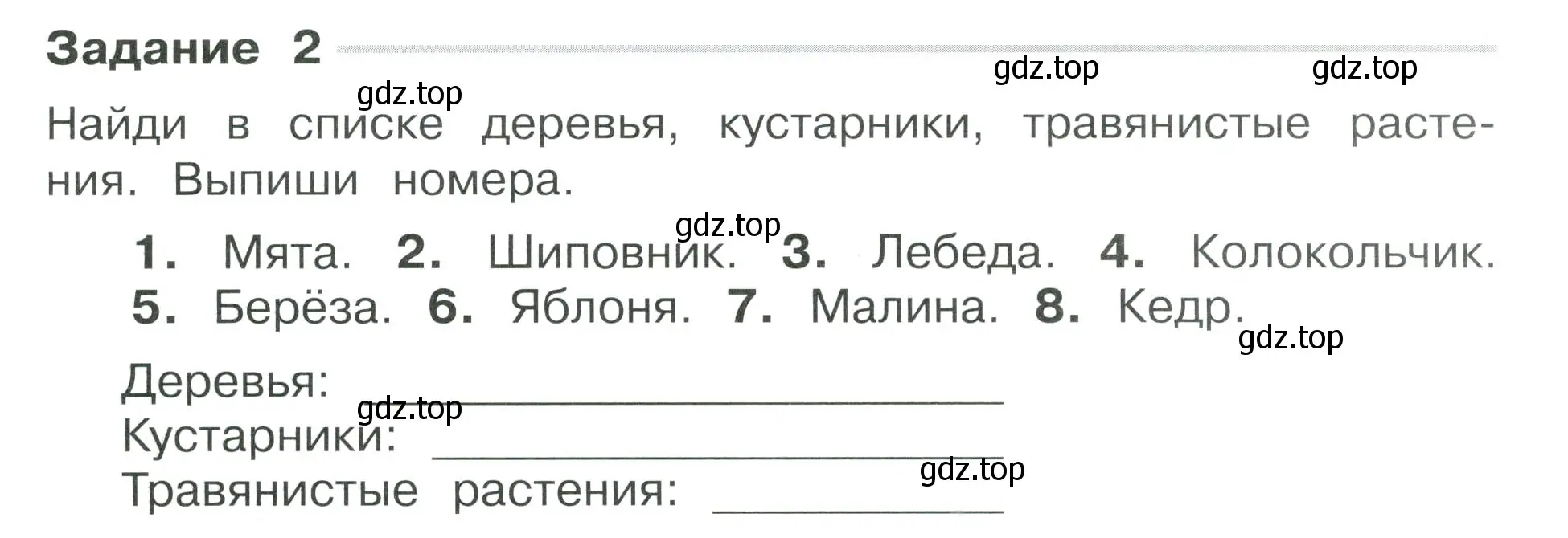 Условие номер 2 (страница 7) гдз по окружающему миру 3 класс Плешаков, Плешаков, проверочные работы