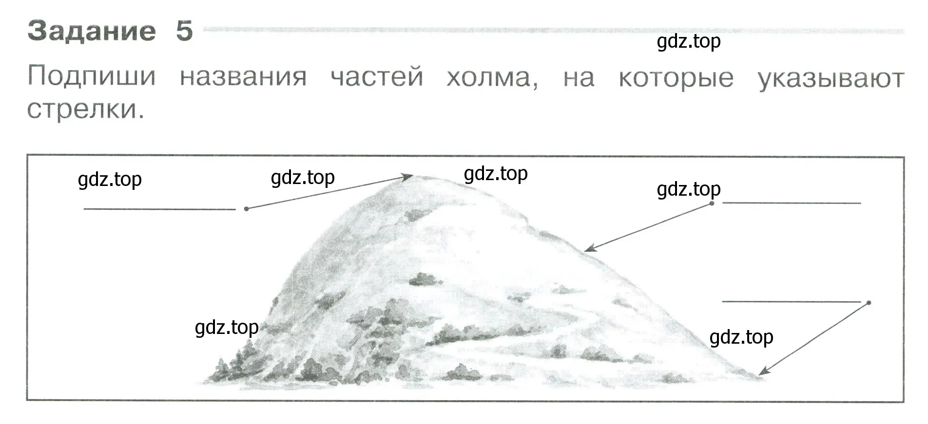 Условие номер 5 (страница 8) гдз по окружающему миру 3 класс Плешаков, Плешаков, проверочные работы