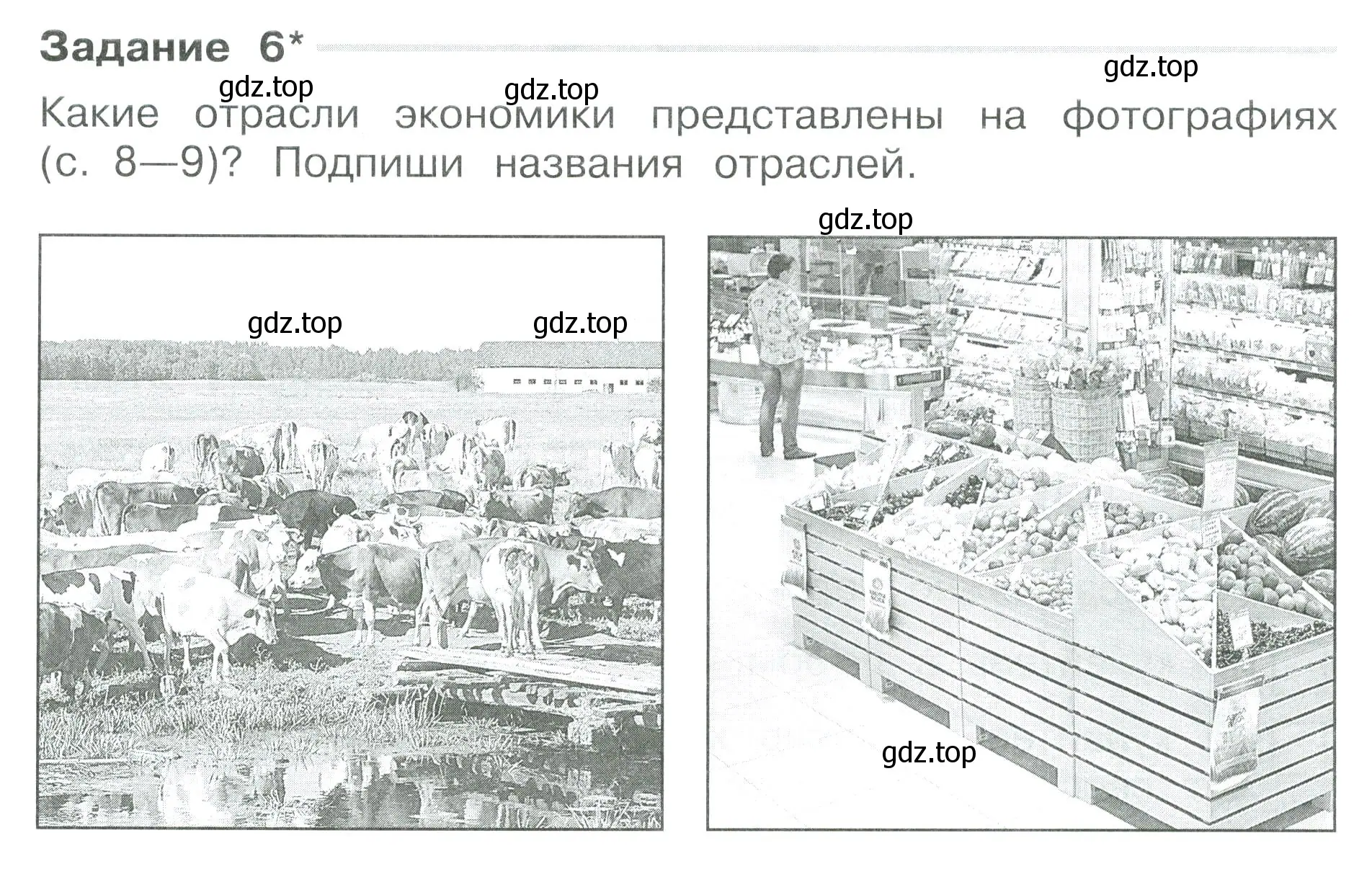 Условие номер 6 (страница 8) гдз по окружающему миру 3 класс Плешаков, Плешаков, проверочные работы