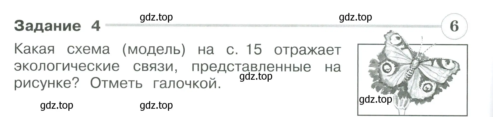 Условие номер 4 (страница 14) гдз по окружающему миру 3 класс Плешаков, Плешаков, проверочные работы