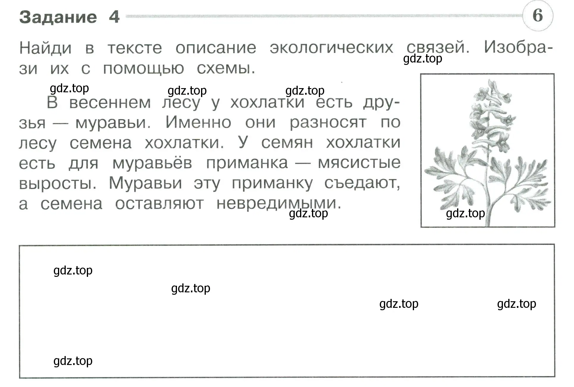 Условие номер 4 (страница 17) гдз по окружающему миру 3 класс Плешаков, Плешаков, проверочные работы