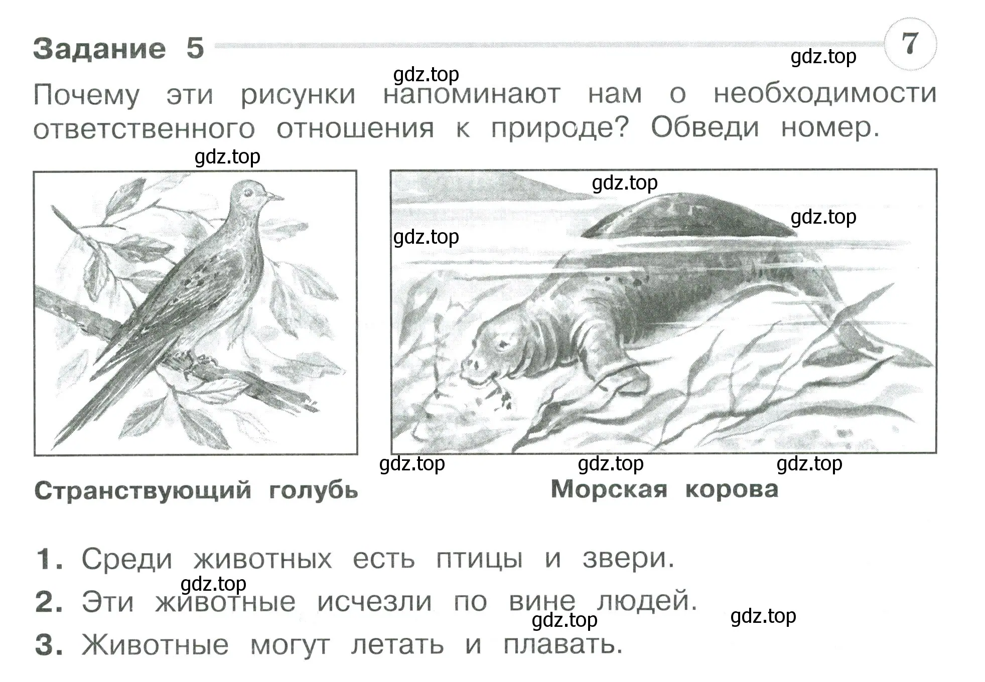 Условие номер 5 (страница 17) гдз по окружающему миру 3 класс Плешаков, Плешаков, проверочные работы