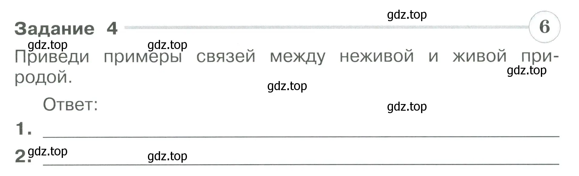 Условие номер 4 (страница 19) гдз по окружающему миру 3 класс Плешаков, Плешаков, проверочные работы