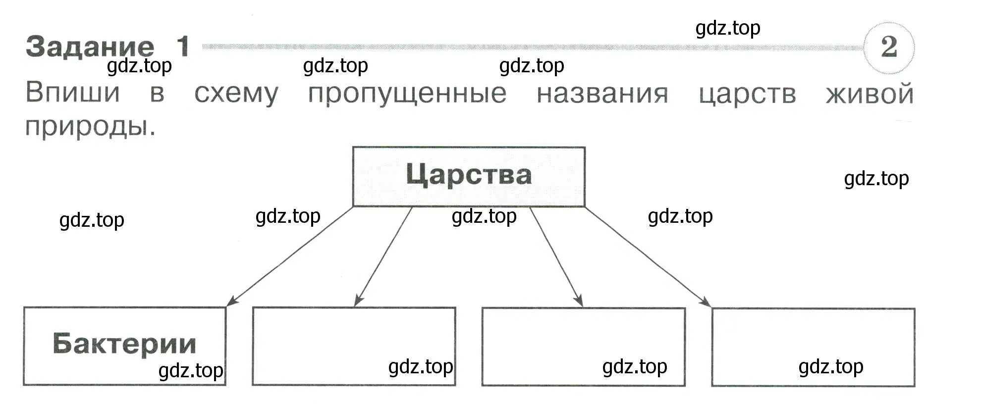 Условие номер 1 (страница 21) гдз по окружающему миру 3 класс Плешаков, Плешаков, проверочные работы