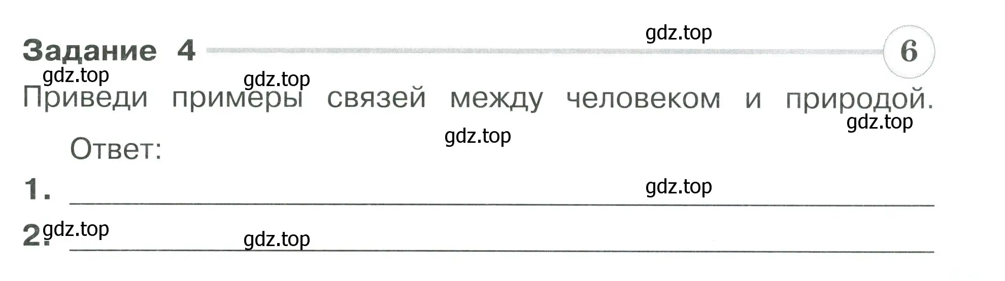 Условие номер 4 (страница 21) гдз по окружающему миру 3 класс Плешаков, Плешаков, проверочные работы