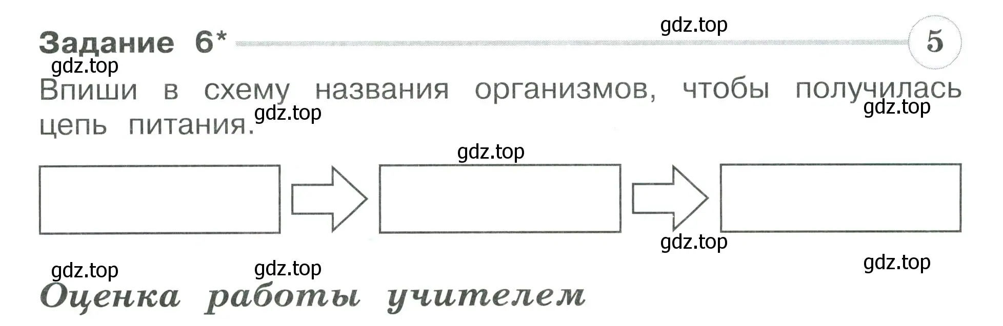 Условие номер 6 (страница 25) гдз по окружающему миру 3 класс Плешаков, Плешаков, проверочные работы