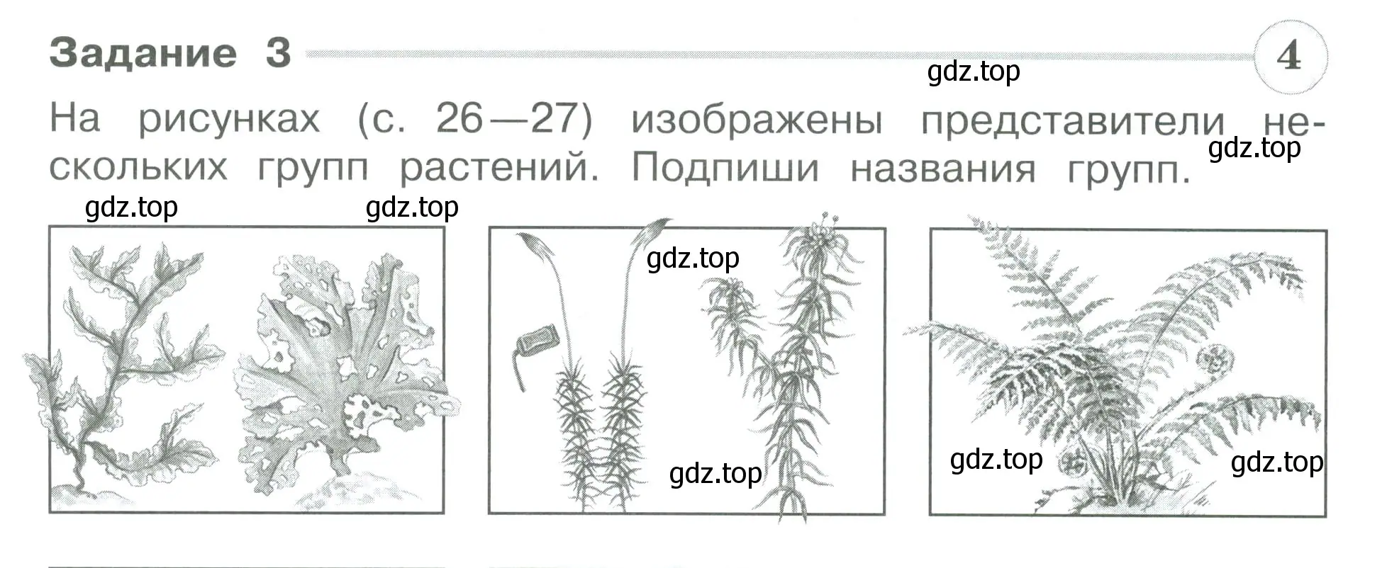 Условие номер 3 (страница 26) гдз по окружающему миру 3 класс Плешаков, Плешаков, проверочные работы