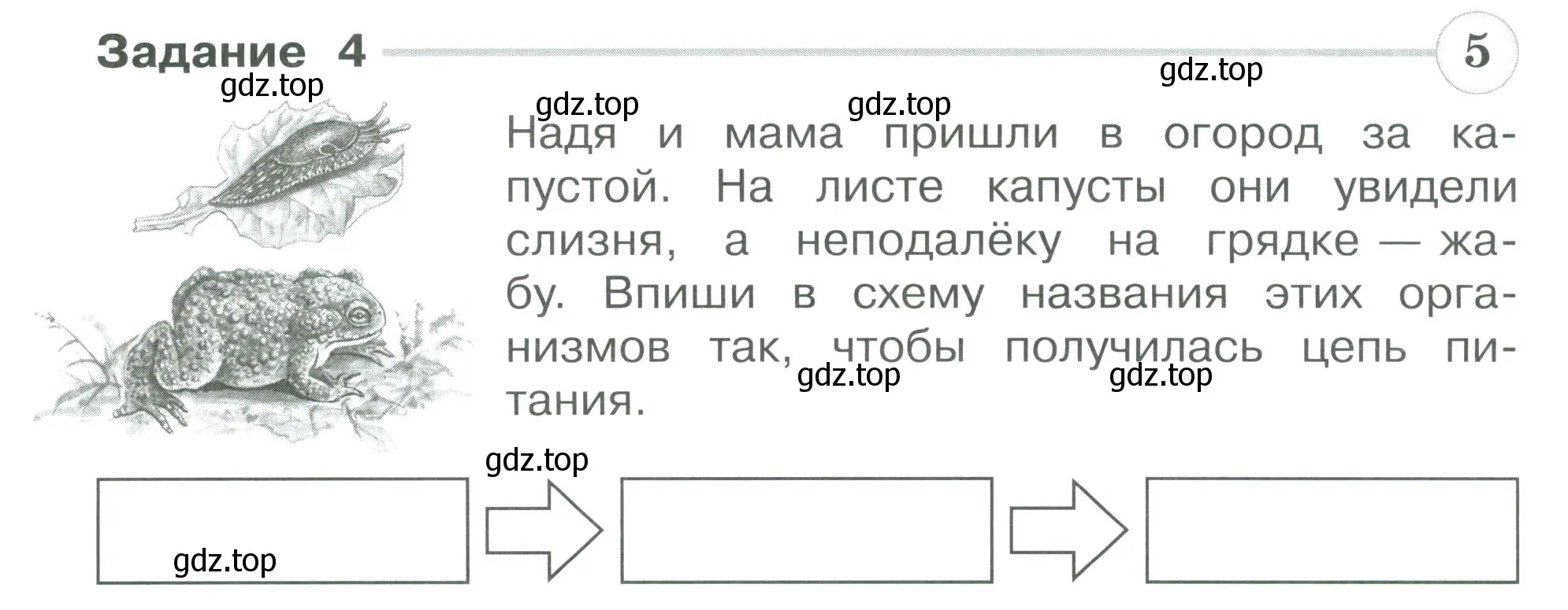 Условие номер 4 (страница 30) гдз по окружающему миру 3 класс Плешаков, Плешаков, проверочные работы