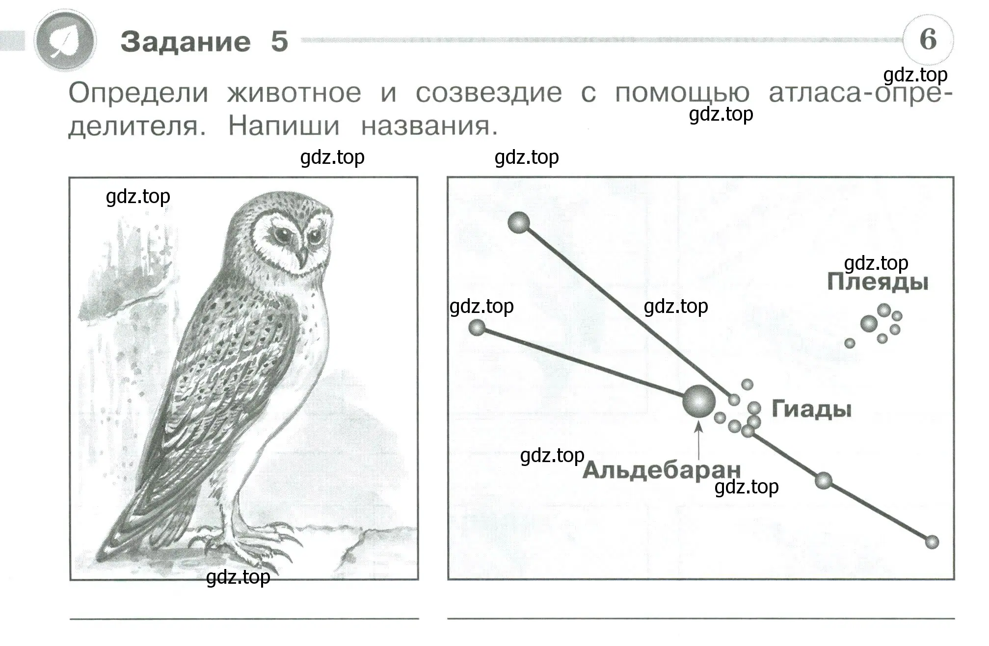 Условие номер 5 (страница 30) гдз по окружающему миру 3 класс Плешаков, Плешаков, проверочные работы