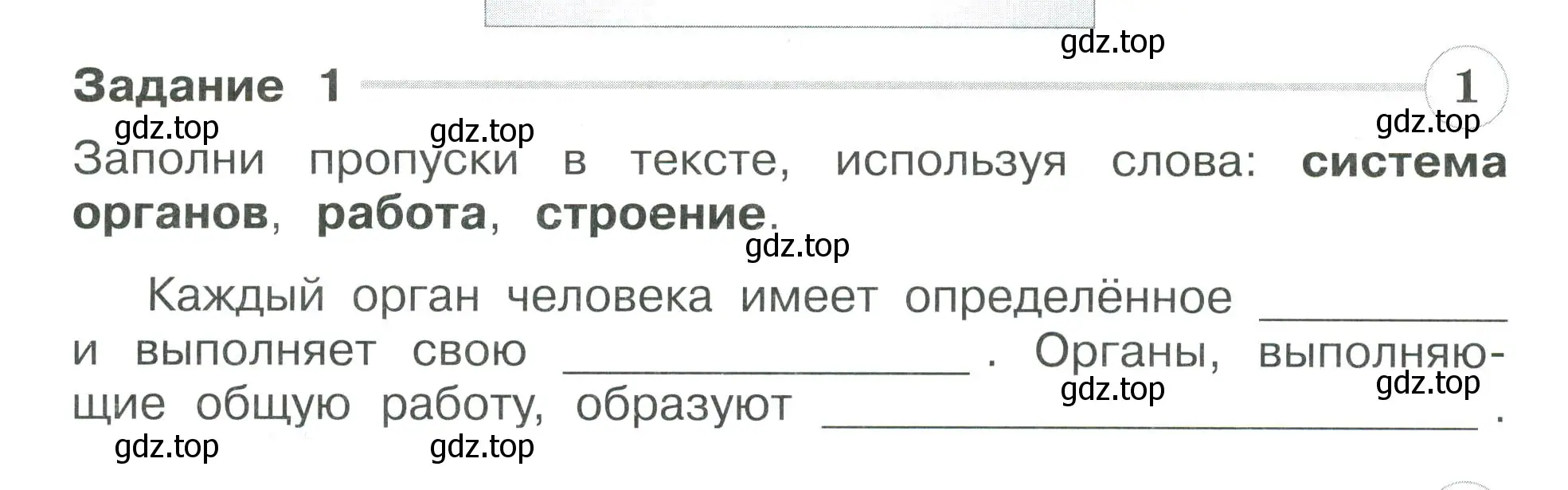 Условие номер 1 (страница 36) гдз по окружающему миру 3 класс Плешаков, Плешаков, проверочные работы