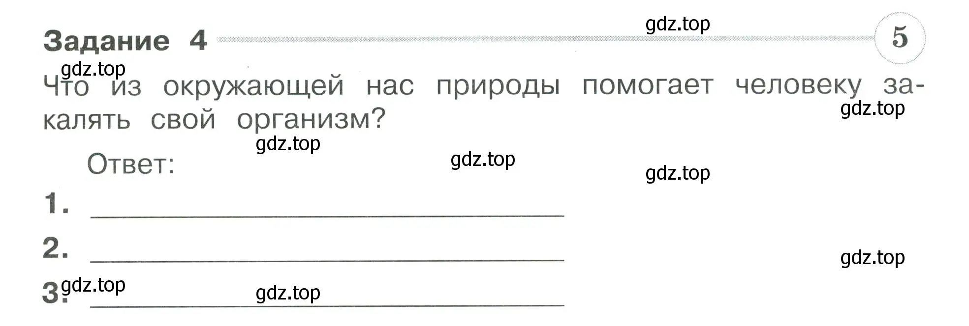 Условие номер 4 (страница 37) гдз по окружающему миру 3 класс Плешаков, Плешаков, проверочные работы