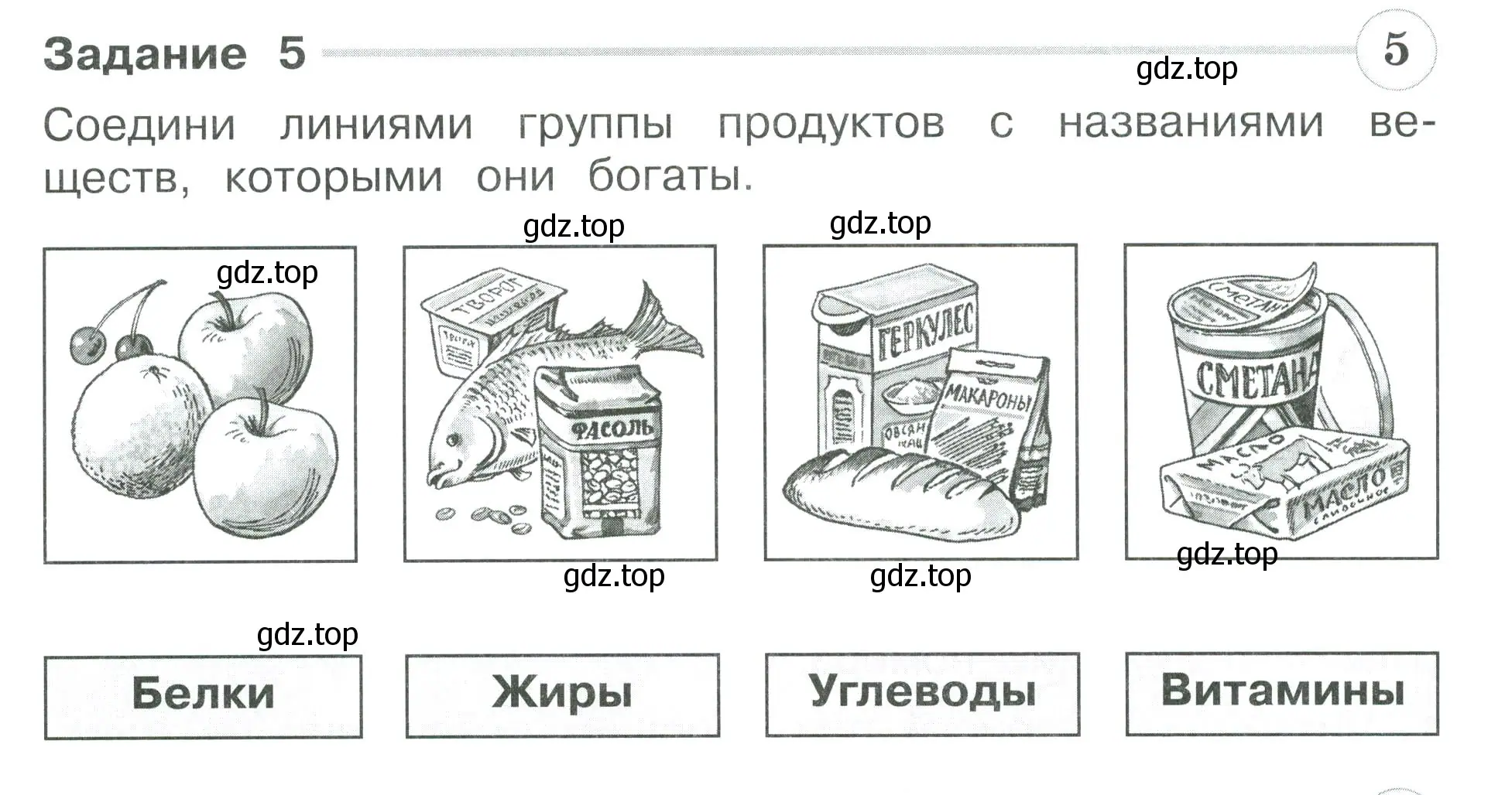 Условие номер 5 (страница 41) гдз по окружающему миру 3 класс Плешаков, Плешаков, проверочные работы