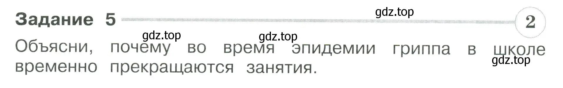 Условие номер 5 (страница 44) гдз по окружающему миру 3 класс Плешаков, Плешаков, проверочные работы