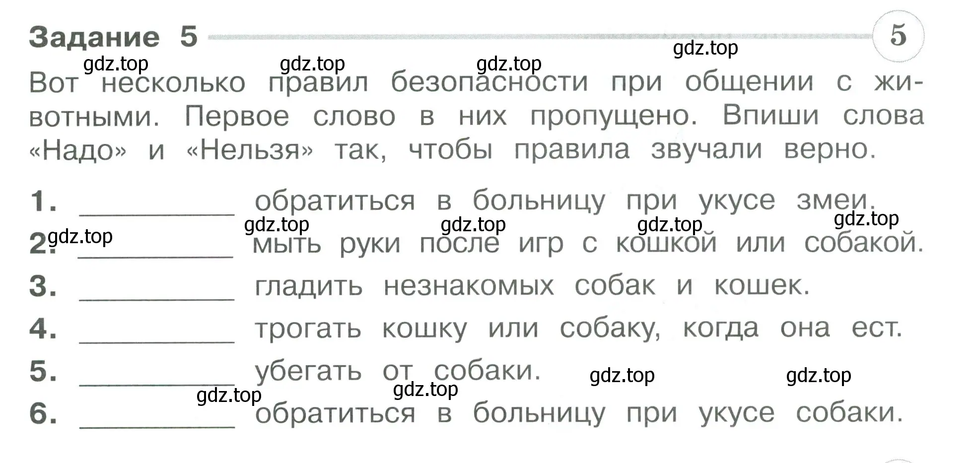 Условие номер 5 (страница 47) гдз по окружающему миру 3 класс Плешаков, Плешаков, проверочные работы