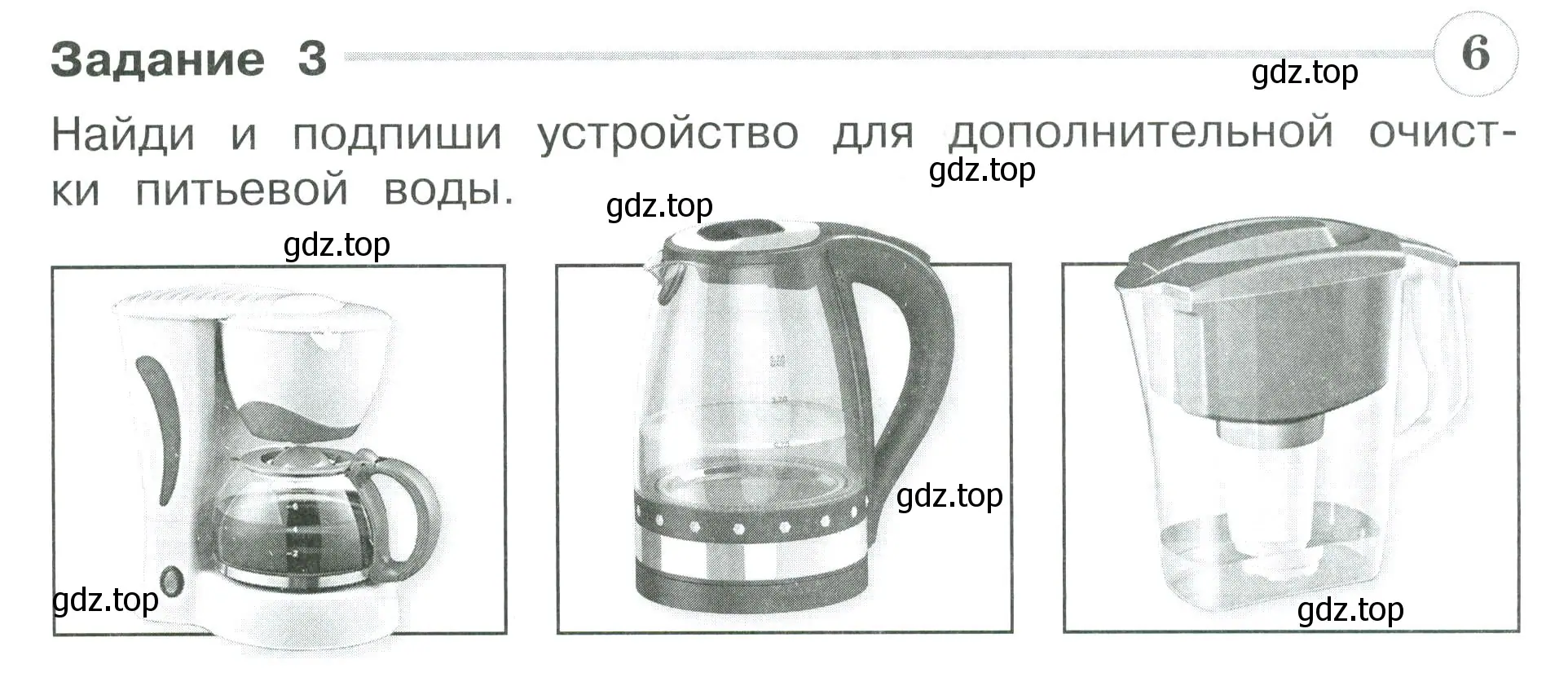 Условие номер 3 (страница 53) гдз по окружающему миру 3 класс Плешаков, Плешаков, проверочные работы