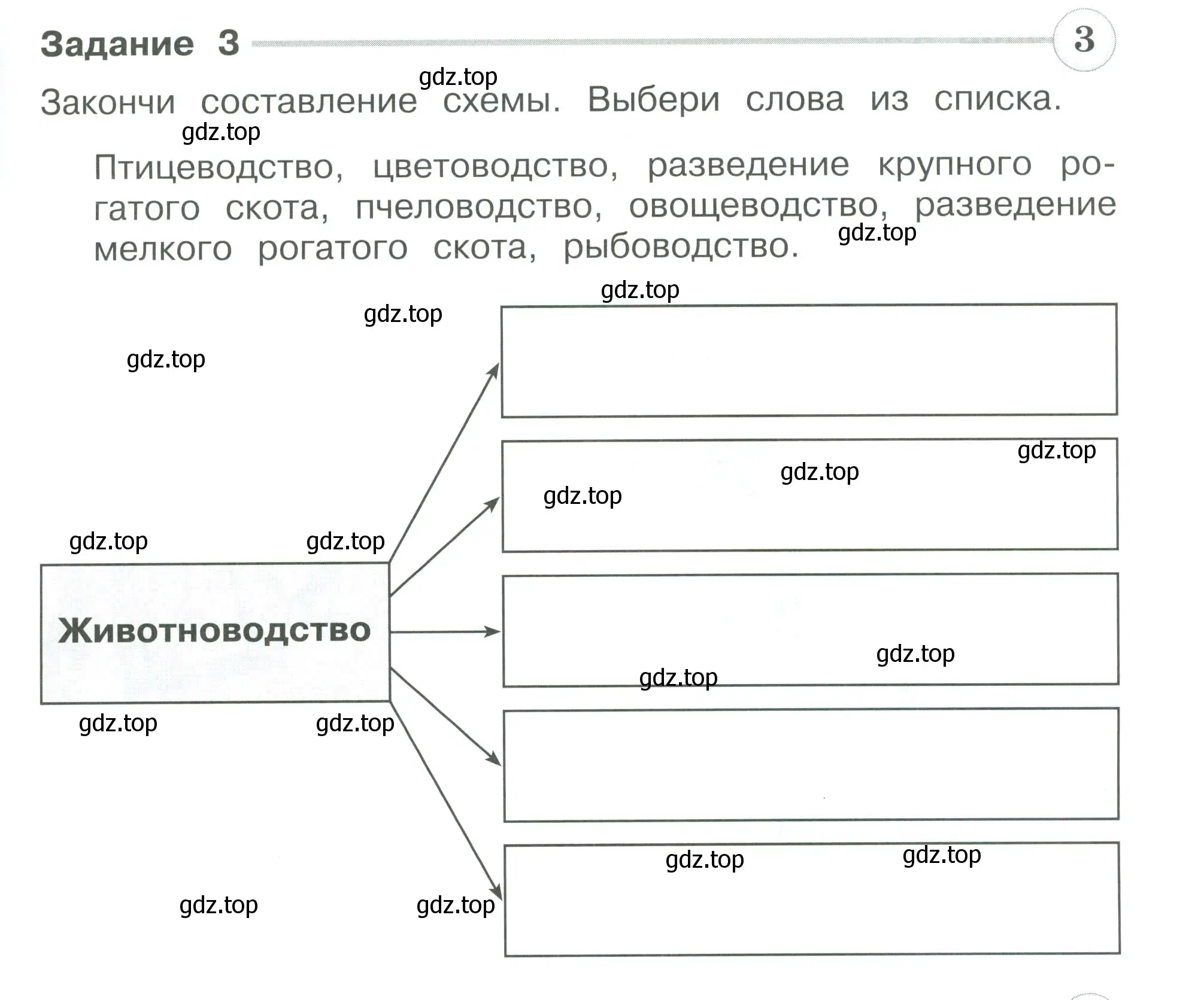 Условие номер 3 (страница 63) гдз по окружающему миру 3 класс Плешаков, Плешаков, проверочные работы