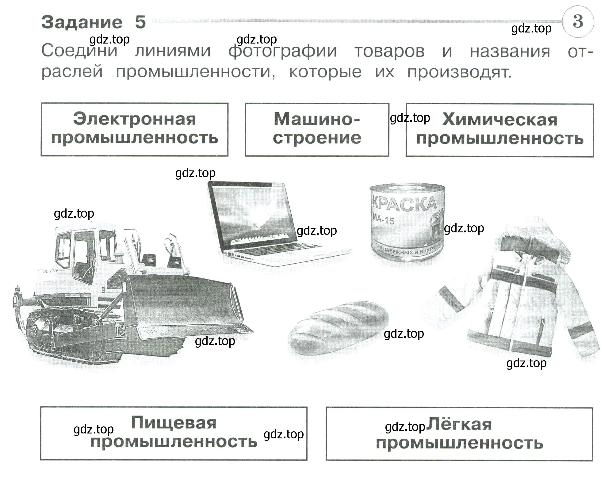 Условие номер 5 (страница 64) гдз по окружающему миру 3 класс Плешаков, Плешаков, проверочные работы