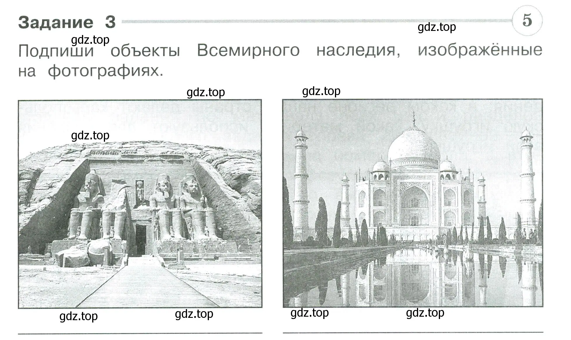 Условие номер 3 (страница 77) гдз по окружающему миру 3 класс Плешаков, Плешаков, проверочные работы