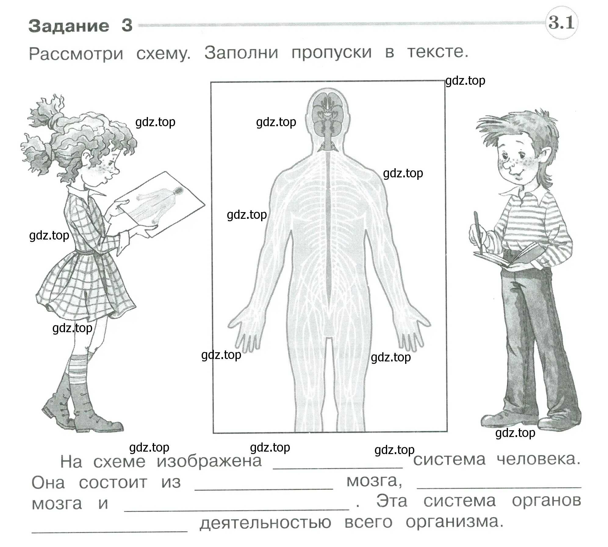 Условие номер 3 (страница 80) гдз по окружающему миру 3 класс Плешаков, Плешаков, проверочные работы