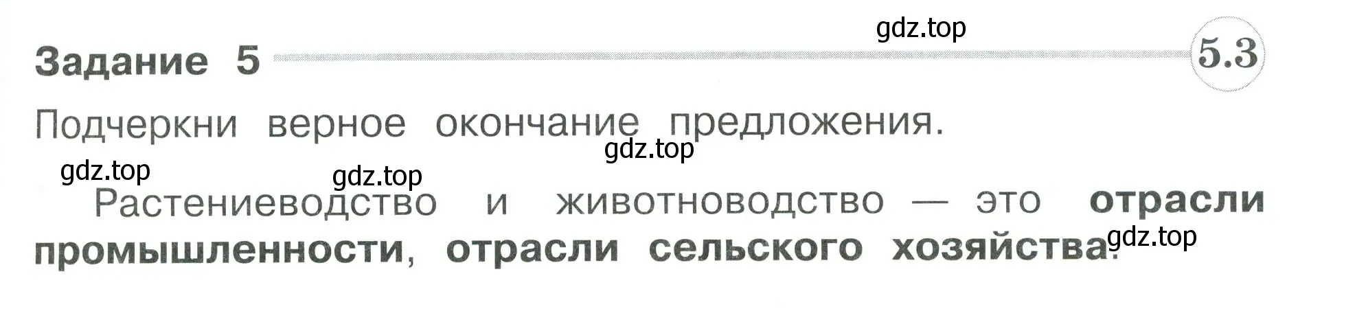 Условие номер 5 (страница 81) гдз по окружающему миру 3 класс Плешаков, Плешаков, проверочные работы