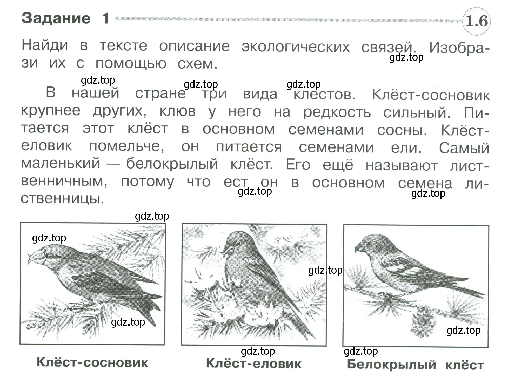 Условие номер 1 (страница 86) гдз по окружающему миру 3 класс Плешаков, Плешаков, проверочные работы