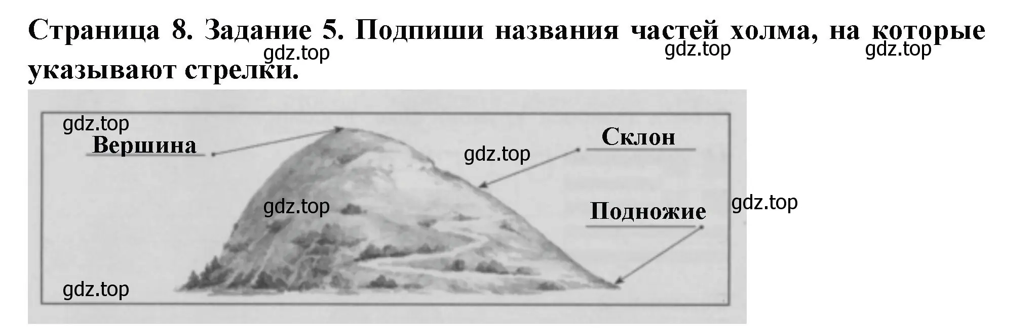 Решение номер 5 (страница 8) гдз по окружающему миру 3 класс Плешаков, Плешаков, проверочные работы