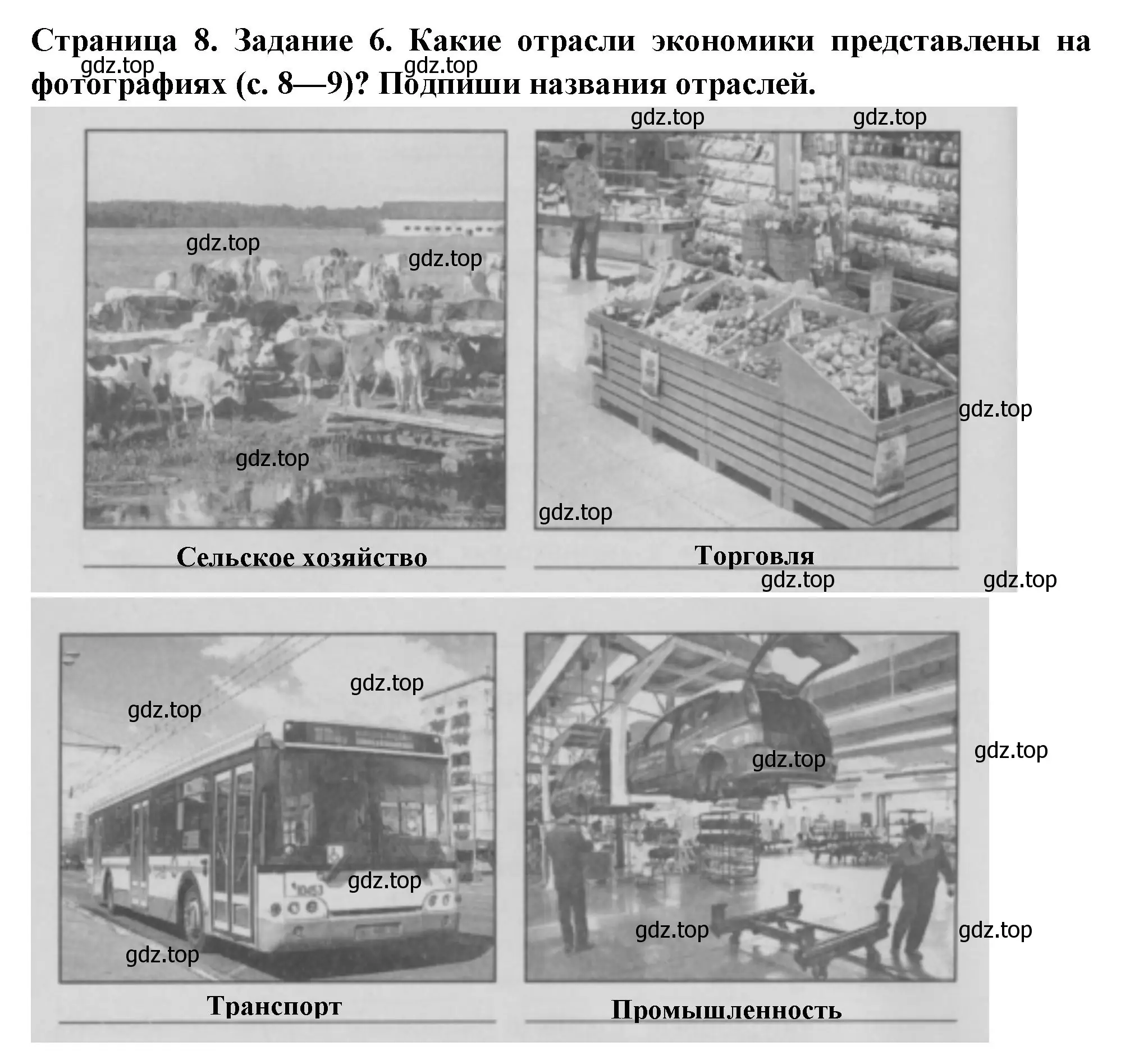 Решение номер 6 (страница 8) гдз по окружающему миру 3 класс Плешаков, Плешаков, проверочные работы