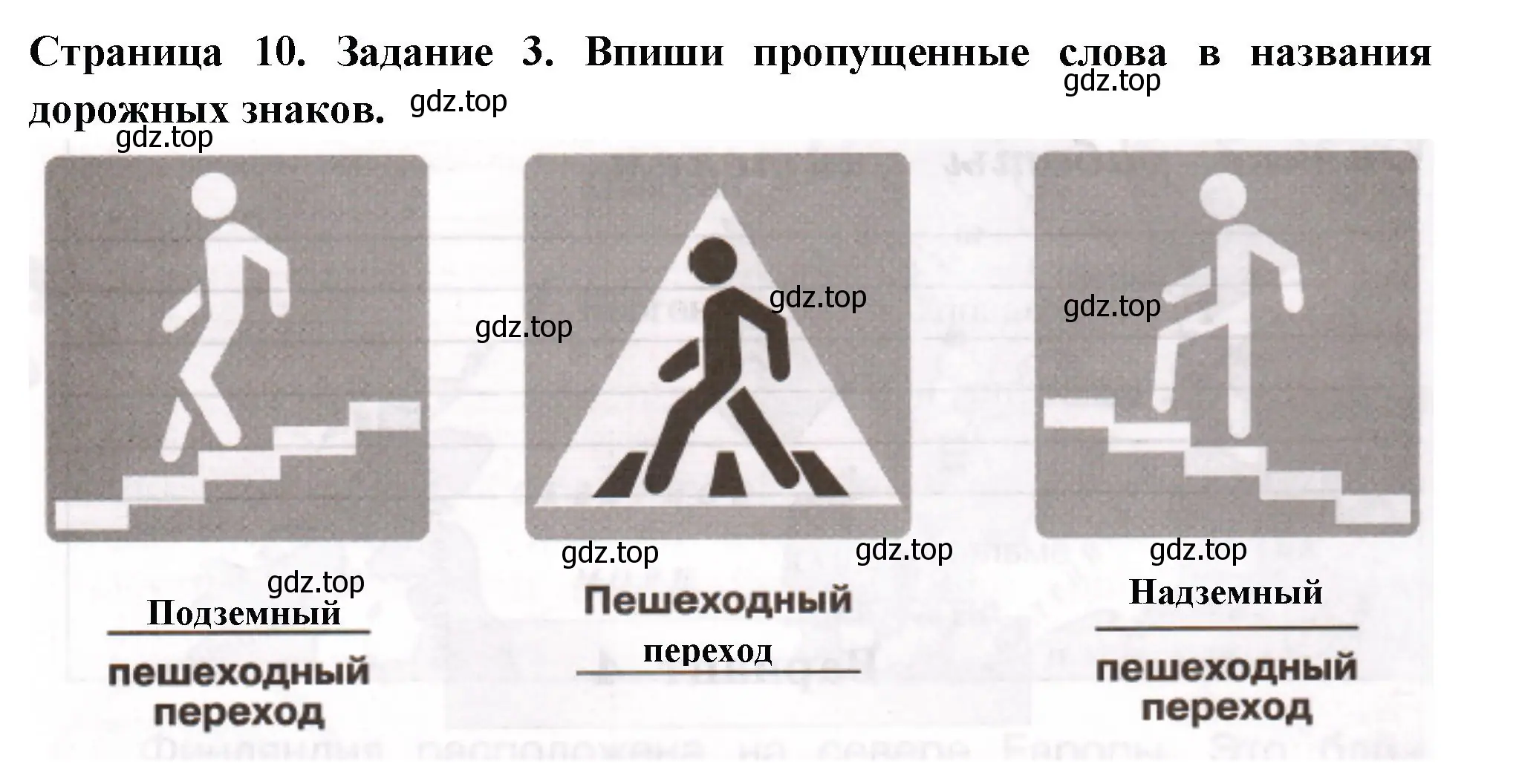 Решение номер 3 (страница 10) гдз по окружающему миру 3 класс Плешаков, Плешаков, проверочные работы