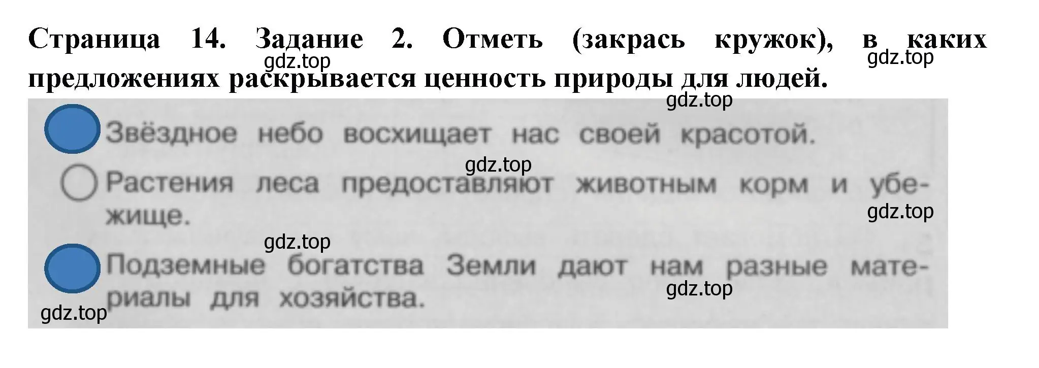 Решение номер 2 (страница 14) гдз по окружающему миру 3 класс Плешаков, Плешаков, проверочные работы