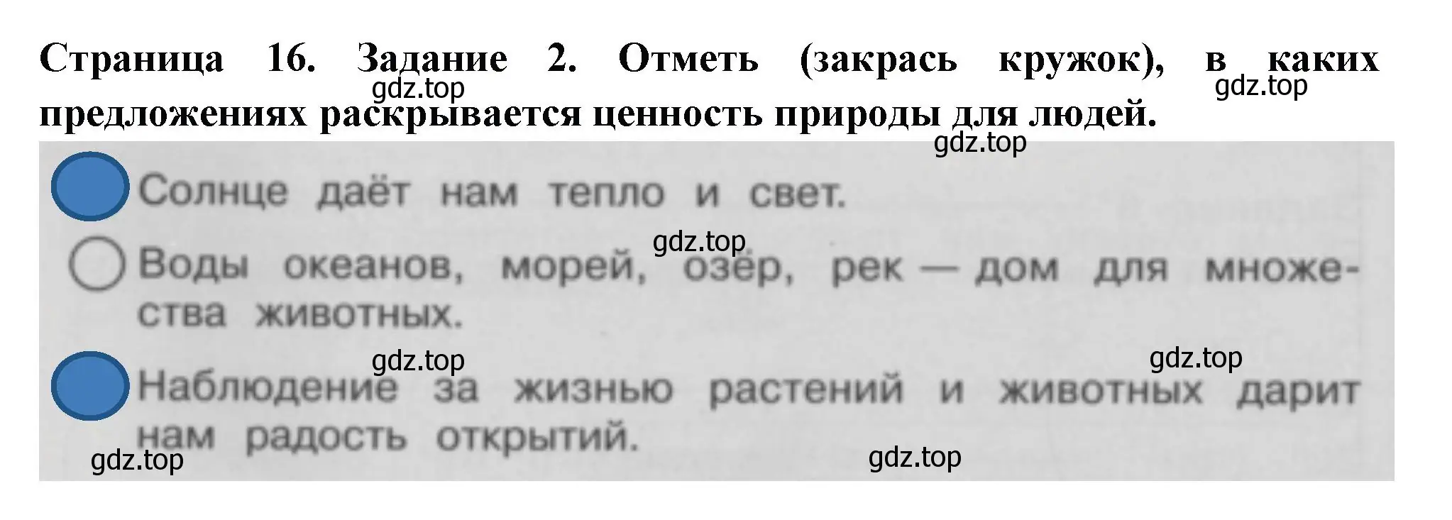 Решение номер 2 (страница 16) гдз по окружающему миру 3 класс Плешаков, Плешаков, проверочные работы