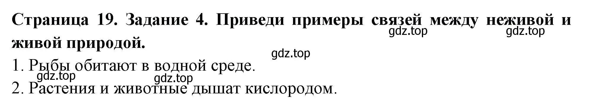 Решение номер 4 (страница 19) гдз по окружающему миру 3 класс Плешаков, Плешаков, проверочные работы