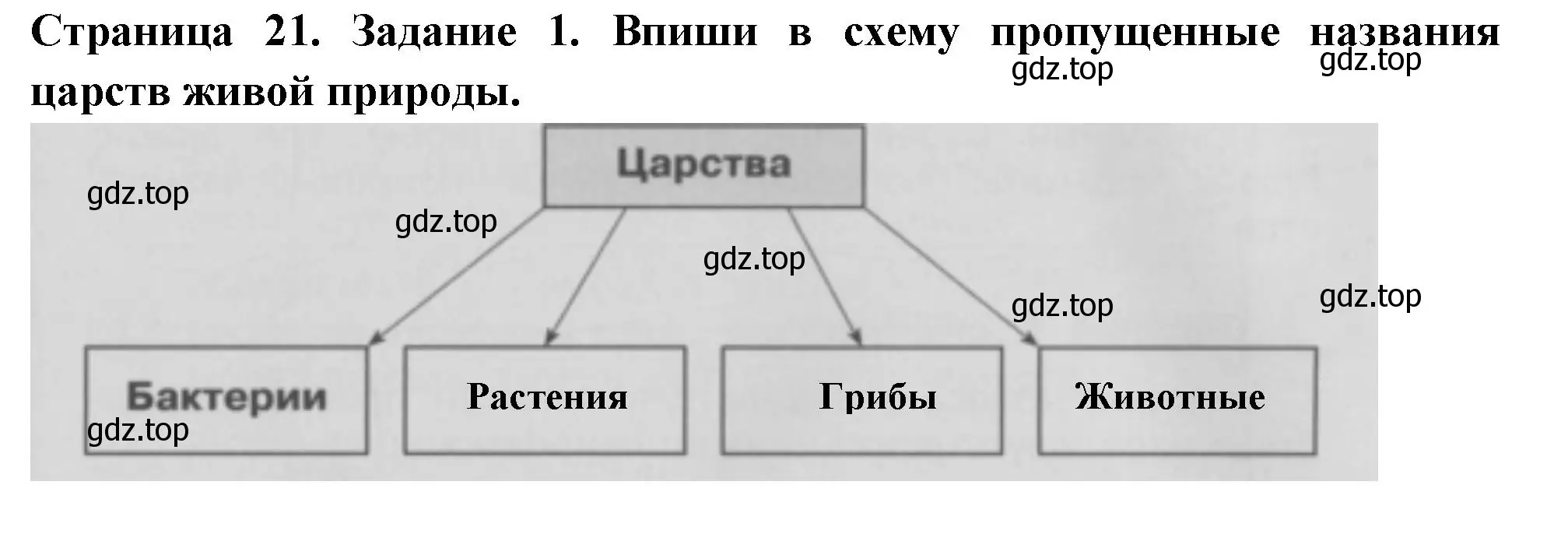 Решение номер 1 (страница 21) гдз по окружающему миру 3 класс Плешаков, Плешаков, проверочные работы