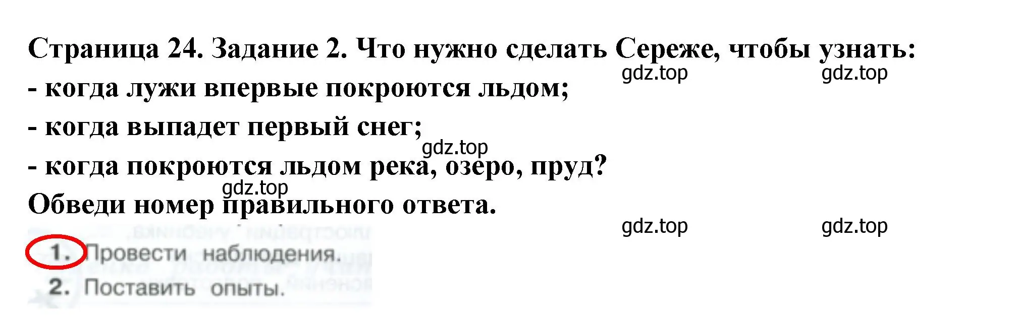 Решение номер 2 (страница 24) гдз по окружающему миру 3 класс Плешаков, Плешаков, проверочные работы