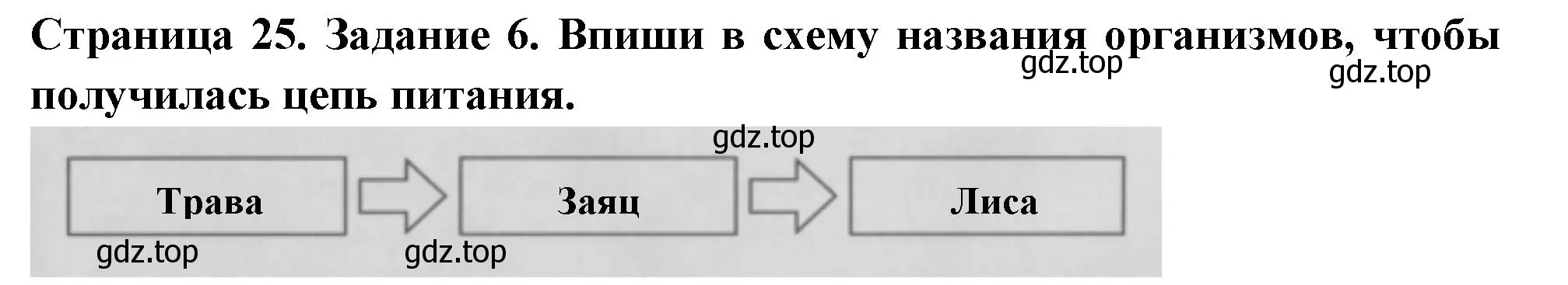 Решение номер 6 (страница 25) гдз по окружающему миру 3 класс Плешаков, Плешаков, проверочные работы