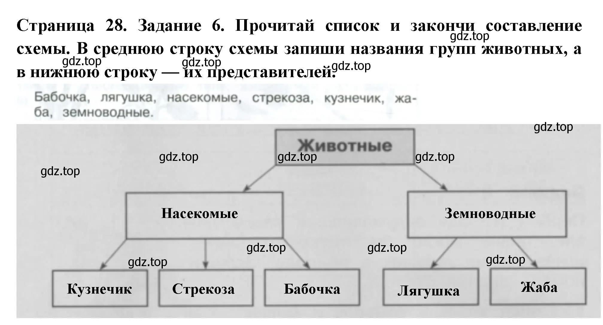 Решение номер 6 (страница 28) гдз по окружающему миру 3 класс Плешаков, Плешаков, проверочные работы